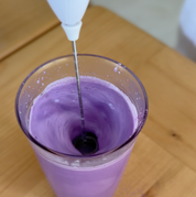 Milk Frother