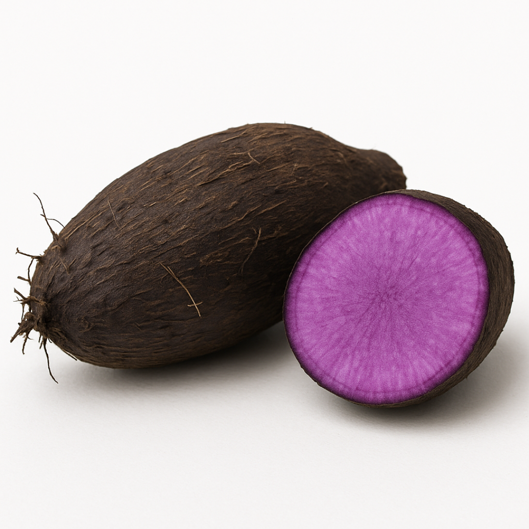 Image_carre_4_ce48c1cd-9c53-4c87-ab6f-3b077e30a862.png